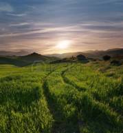 pistas de tractor cruzando una hierba verde con una cabaa abandonada contra cielo nublado en la puesta del sol y el horizonte montaoso brumoso Foto de archivo - 6451658